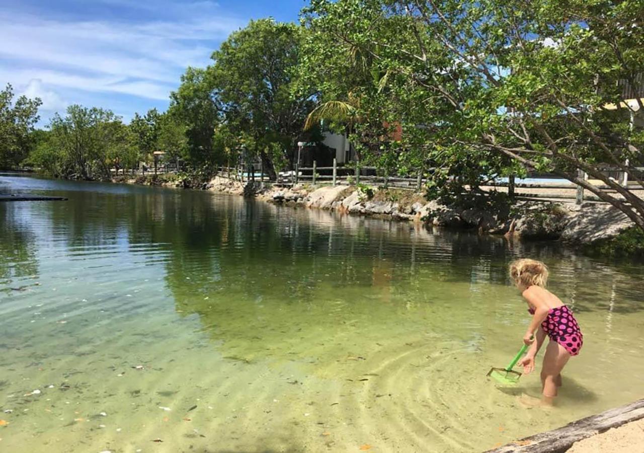 Sea Mist - Oceanfront-Lake-Kayak-Paddleboard-Bike Key Largo Exterior foto
